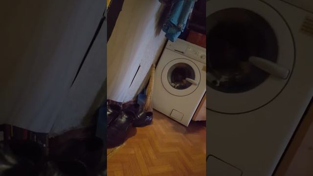 ужас в коммуналке 98