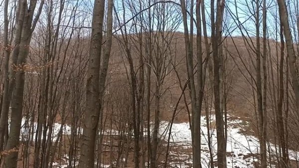 ЗОЛОТЫЕ НАСОСЫ вокруг нас!