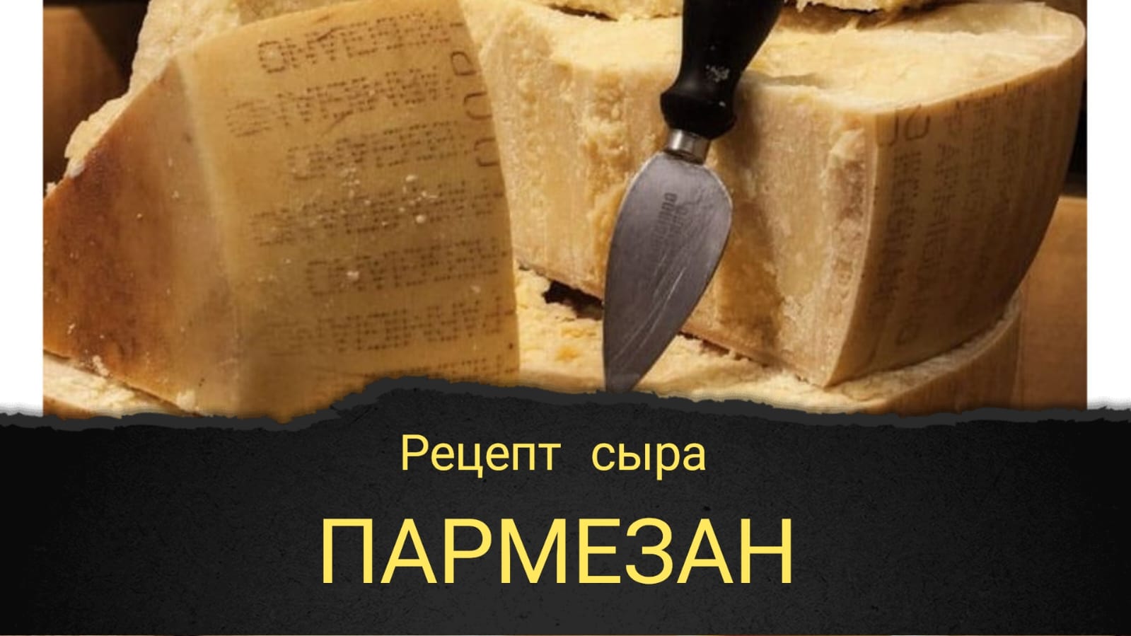 Пармезан. Parmigiano Reggiano