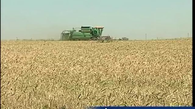 ООО "Ростовагролизинг" отметил лучших клиентов. смотреть онлайн