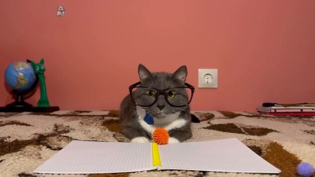 ЕСЛИ БЫ КОТИКИ ХОДИЛИ В ШКОЛУ  ? КИССИ МИССИ И ХАГГИ ВАГГИ, УЧИТЕЛЬСКАЯ