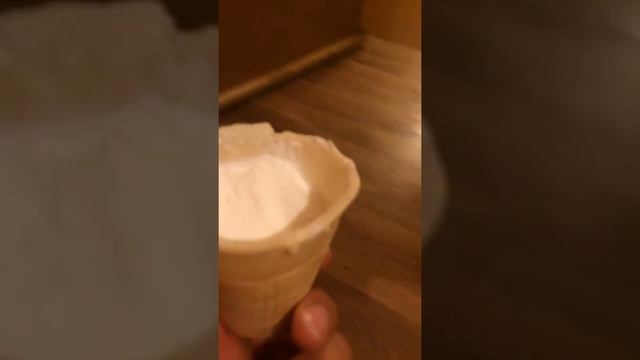 Лабрадор любит мороженое...