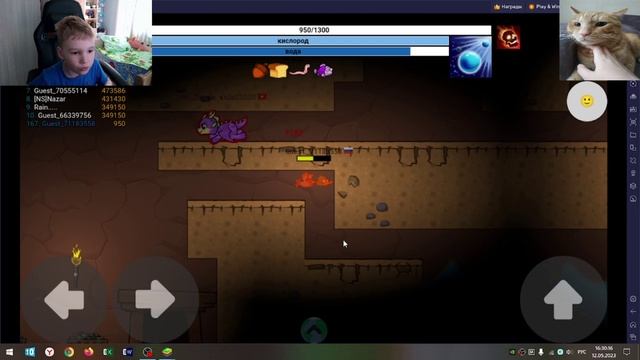 Play Evo World смотреть онлайн
