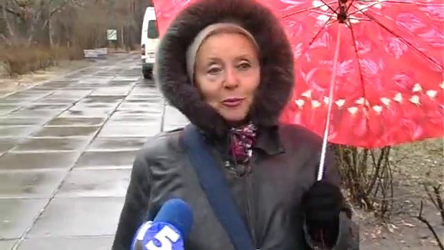 Сюжет "Дубы" смотреть онлайн