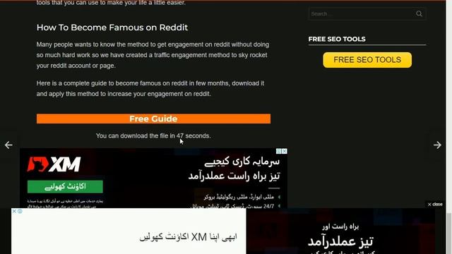 How To Get Canva Pro Bingotingo | Get Canva Pro Bingotingo | Canva Pro Witout Bingotingo
