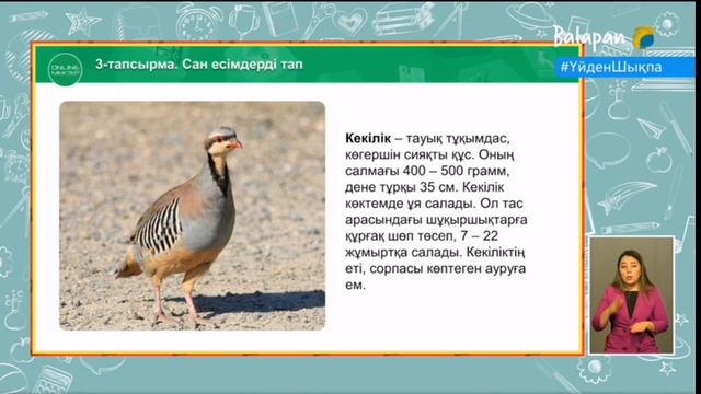 Балапан 2 сынып 11.05.2020 смотреть онлайн