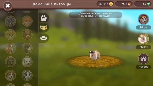 Акк на 200лвл волк,лиса,рысь ( читайте описание) смотреть онлайн