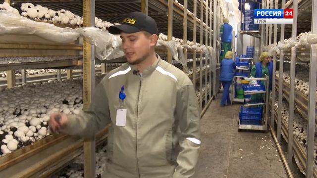 Пробизнес (