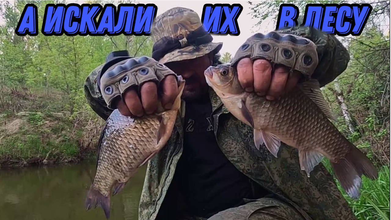 НАШЛИ КАРАСЯ УЖЕ В РЕЧКЕ ! Весенняя рыбалка 23 мая 2024г. смотреть онлайн