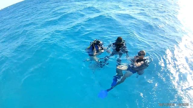 ЕГИПЕТ ХУРГАДА 5 НОЯБРЯ 2018 КРАСНОЕ МОРЕ " ДАИВИНГ" смотреть онлайн