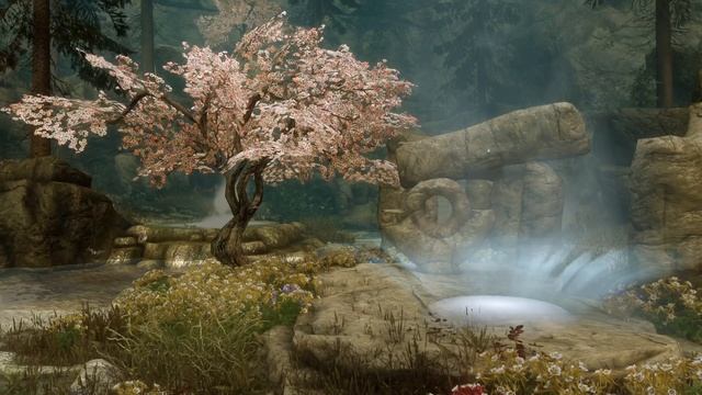 Ambience In Skyrim: Relaxing Ambience From Ancestor Glade смотреть онлайн