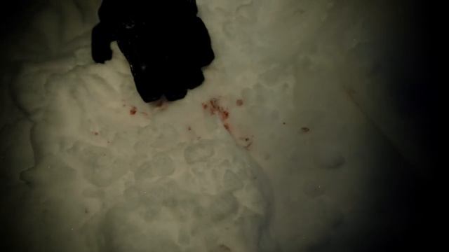 THE WENDIGO FOREST: FACE TO FACE WITH A REAL CRYPTID! (FULL MOVIE) смотреть онлайн