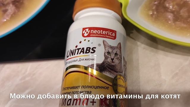 Готовим для котят - индейка с тыквой смотреть онлайн