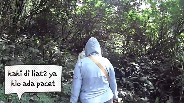 Failed trekking to Curug Citaman смотреть онлайн