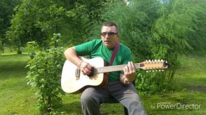 Красиво сыграл на гитаре и спел. Одинокая ветка сирени