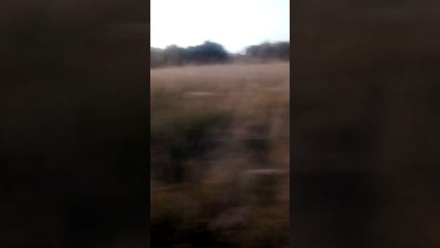 В гостях хорошо, А дома лучше!!! смотреть онлайн