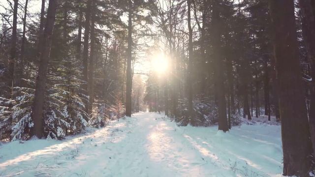 Ambient Study Music To Concentrate - 2 Hours of Music for Studying, Concentration and Memory смотреть онлайн