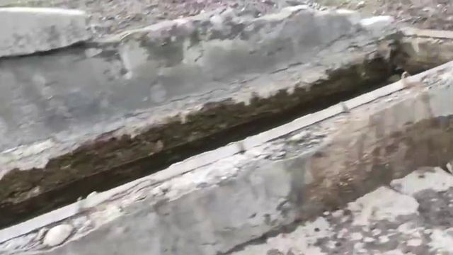 Цехуьлар Зухул Zuxul смотреть онлайн