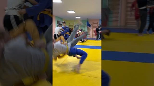 Тренировка спортсменов старшей группы дзюдо / самбо White Tiger Ивантеевка, февраль 2023 смотреть онлайн