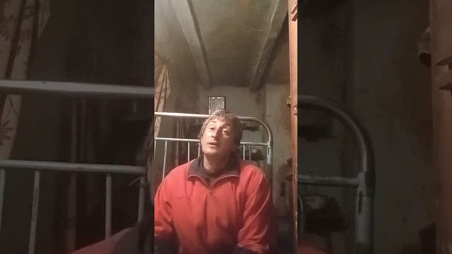 песня свидание с розами смотреть онлайн