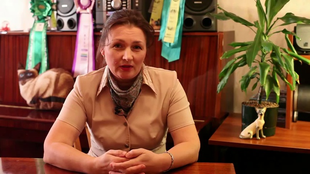 Может ли тайская кошка быть няней? Говорит ЭКСПЕРТ смотреть онлайн