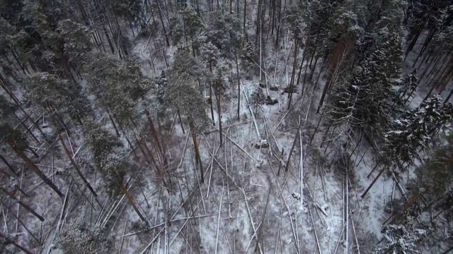 зимний лес аэросъёмка с квадрокоптера Xiaomi Mi Drone 4k