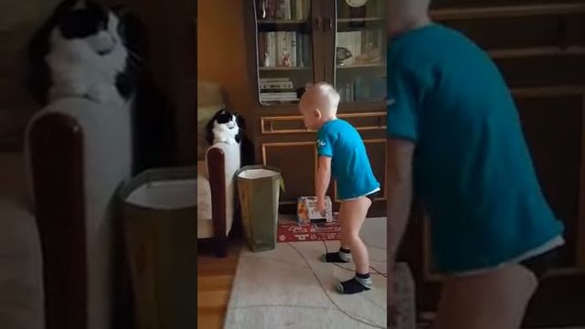Воспитание кошки Сони (она же Хока ?) смотреть онлайн