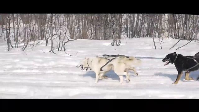 Весенний тур на Камчатку смотреть онлайн
