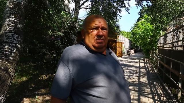 Мудрый Савва, ласковый Потап и13 медведей. Звери освобожденного Мариуполя. смотреть онлайн