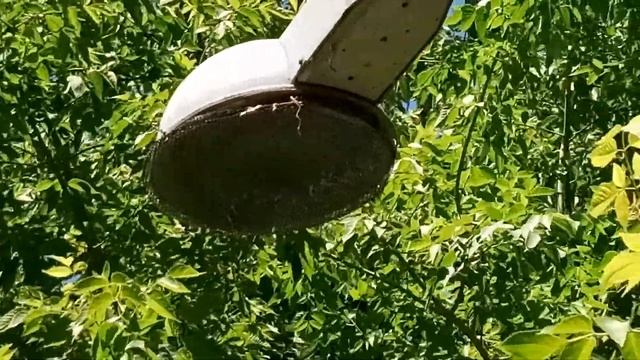 Гнездо воробьев в фонаре. смотреть онлайн