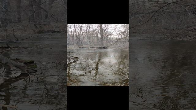 VID_20230326_150349 смотреть онлайн