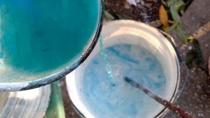 Бордосская смесь  3% , как правильно приготовить ,что бы не забивало распылитель .