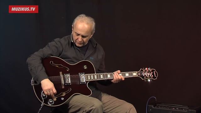 Epiphone Emperor Swingster