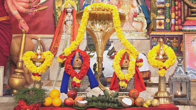 Rahu And Kathu Kavacham Chanting: Navagraha Suktham Chanting and Rahu Kethu Graha Shanthi Homa смотреть онлайн