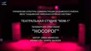 Телеверсия спектакля "Носорог" (13.11.21)