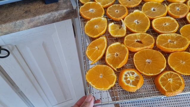 Кулинарное творчество для всех 