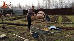 Посадка саженцев голубики весной в открытый грунт. Подготовка почвы для голубики