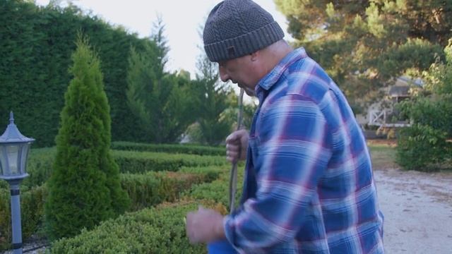 How to pot up a standard citrus tree with potting mix and garden soil смотреть онлайн