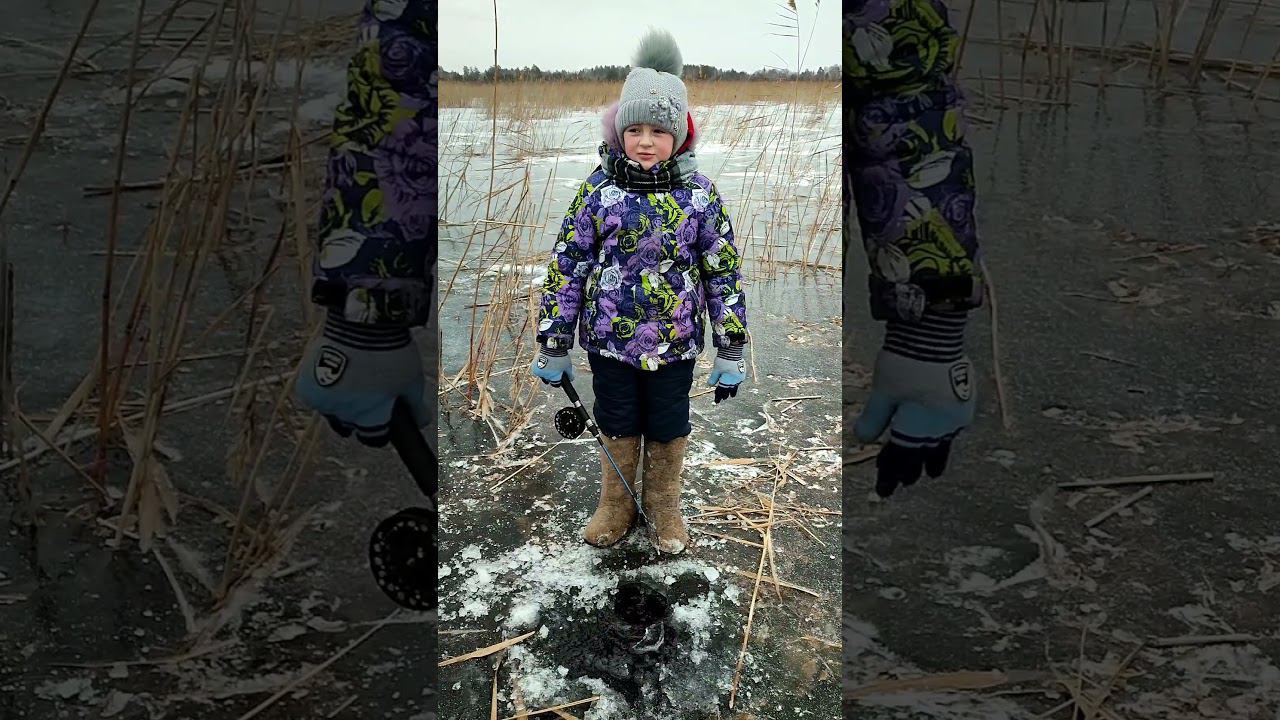 Пять рыб в одной рюмке смотреть онлайн