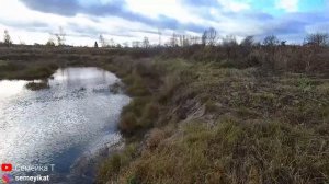 Разведение рыбы и раков в пруду на даче. Новый тест РН! Планы на будущее и облагораживание прудов.