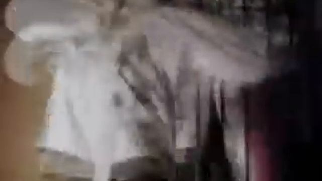 Misfits - American Psycho