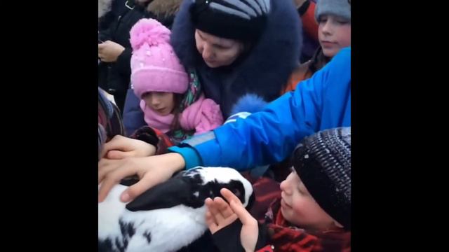 Комплекс туризма Пиренга смотреть онлайн