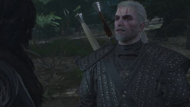 The Witcher 3: Wild Hunt - Geralt potion Addiction? смотреть онлайн