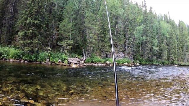 Ловля хариуса в Уральских горах. Тирольская палочка. По камням и мелям за хариусом. #1 смотреть онлайн