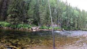 Ловля хариуса в Уральских горах. Тирольская палочка. По камням и мелям за хариусом. #1