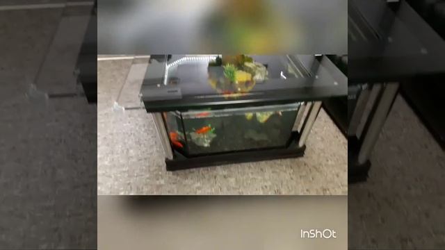 Аквариум Стол АКВА-МАКС смотреть онлайн