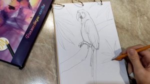 Как нарисовать попугая??