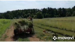 ВЕТЕР В ХАРЮ, А Я ШПАРЮ