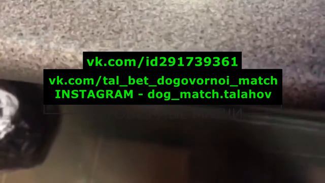 СНЯТИЕ ВЫИГРЫША В БК-1X-STAVKA ДОГОВОРНОЙ МАТЧ 05.12.17 ВЫИГРЫШ 70.000РУБ