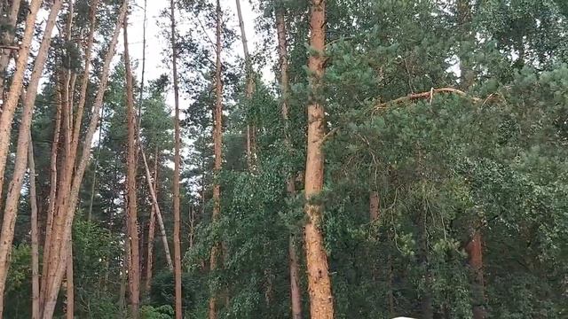 БЛАГОДАРНОСТЬ НЫНЬЧЕ НЕ В МОДЕ???..АВТОР: ИНГА ХОСРОЕВА смотреть онлайн